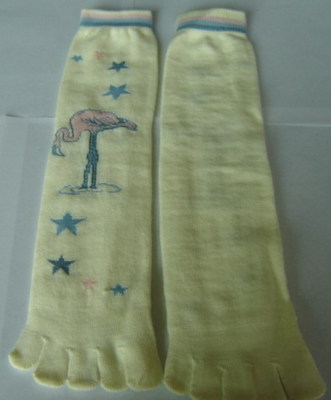 五趾襪 銀豐針紡織品的匠心之選